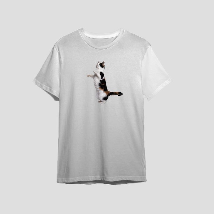 item-futbolka-s-kotikom-343